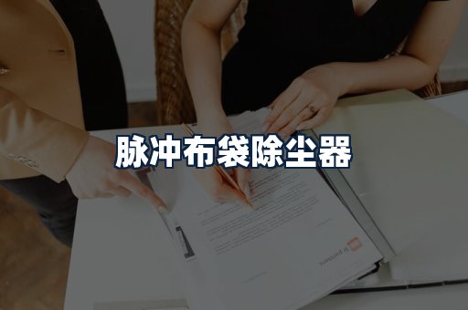 脉冲布袋除尘器